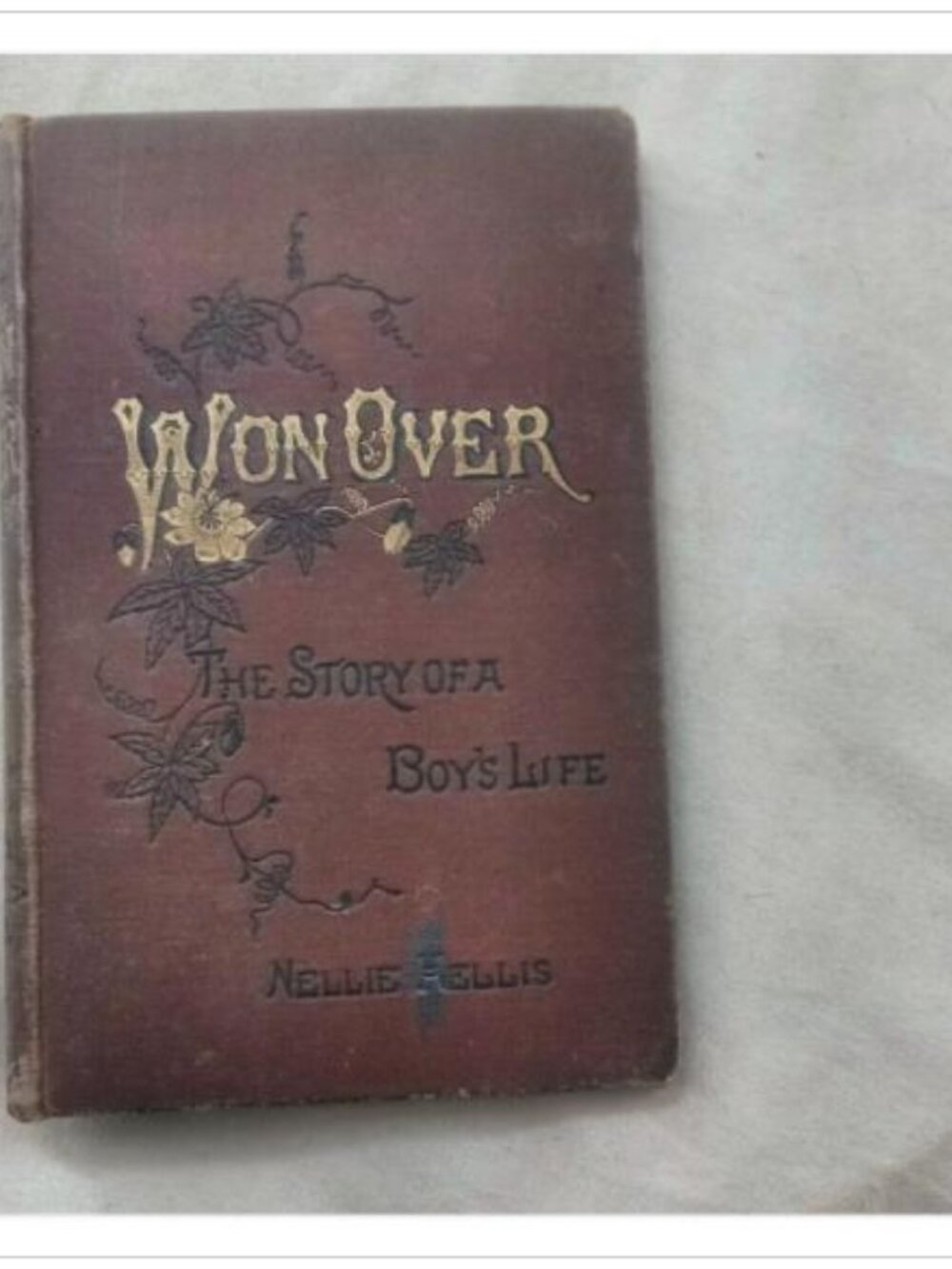 Won Over: The Story of a Boy's Life Nellie Hellis Hardcover Book Vintage Novel